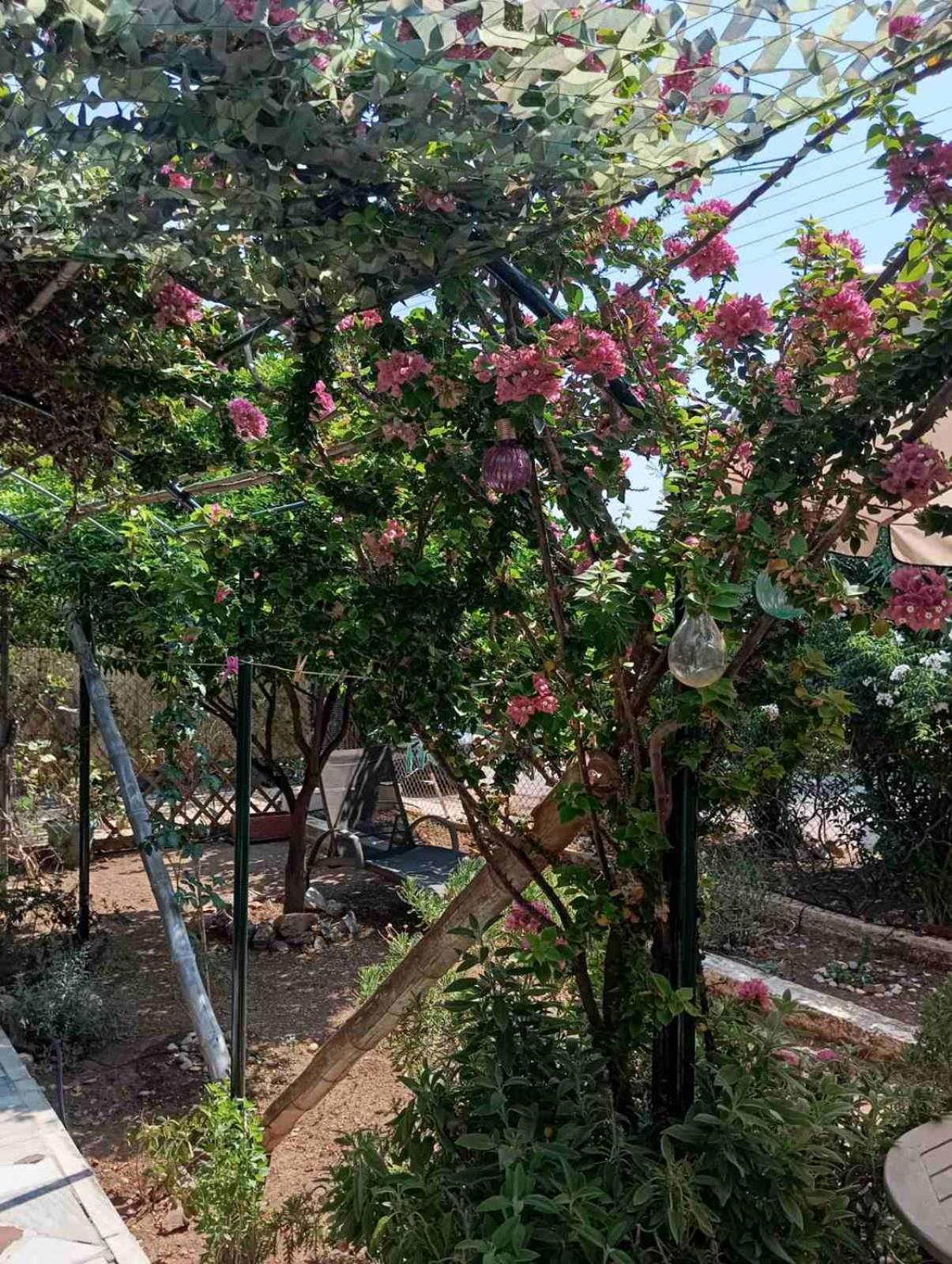 Villa Εξοχικό Roxani Ambelakia Exterior foto
