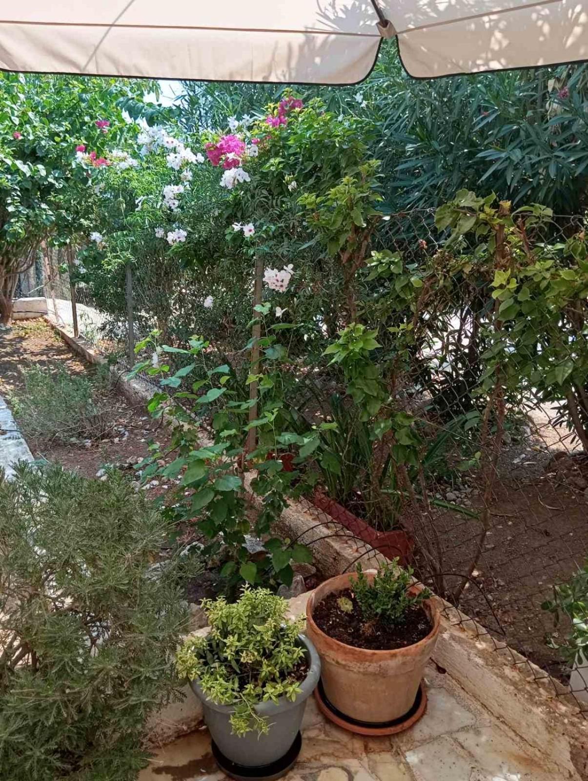 Villa Εξοχικό Roxani Ambelakia Exterior foto